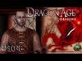 LA PRUEBA DE LOS CUERVOS | Dragon Age Origins #104