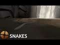 TF2 - Snakes in Snakewater