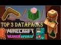 Top 3 Datapacks for Minecraft 1.16.5 (Boomerang, Mesa Villages, Better Biomes and more...)