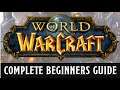A beginners guide to World of Warcraft