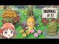 Animal Crossing New Horizons - Journal de Bord #77 [Switch]