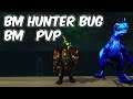BM Hunter Bug - 8.0.1 Beast Mastery Hunter PvP - WoW BFA