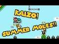 COOL KAIZO!!! 2 Clears || Kaizo Summer Moles || Super Mario Maker 2 #Shorts