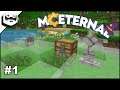 Minecraft MC Eternal LIVE Romania Scai Episodul 1