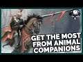 Pathfinder: WotR - Getting The Most Out Of Animal Companions (Tips)