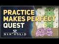 Practice Makes Perfect New World