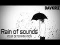 Rain Of Sounds  -  Your Determination - DavKriz