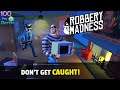 Robbery Madness 2: Симулятор скрытных ограблений Грабим особняк, пока хозяина нет Дома!