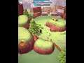 ROGUE LAND IOS Gameplay 2nd part