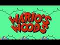 Round Game - Wario's Woods (NES)