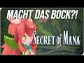 SECRET OF MANA - Macht das Bock?! // REVIEW (PS4) (DEUTSCH) (REMAKE)
