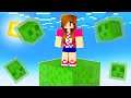 SOBREVIVENDO EM APENAS 1 CUBO DE SLIME NO MINECRAFT!