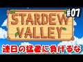 stardew valley PS4 #07「夏の収穫を目指せ！」ダンナのゲーム実況スターデューバレー