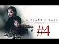🔥 A PLAGUE TALE INNOCENCE EN DIRECTO #4 - BUSCANDO LA CURA // LET'S PLAY ESPAÑOL PS4 PRO 🔥