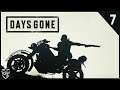 Days Gone (PC) - Part 7 | rxysurfchic | Twitch Playthrough