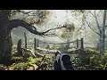 Ingame features Magic Swamp created with Unreal Engine 4.24