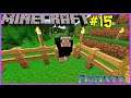 Let's Play Minecraft #15: Bringing Home The Black Sheep!