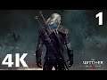 Live Stream 4K | The Witcher 3 Wild Hunt Gameplay Part 1 | RTX 2080Ti - no commentary