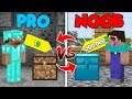 Minecraft NOOB vs. PRO : NOOB WON $200.000 IN DIAMOND CHEST in Minecraft (Compilation)