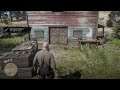 Red Dead Redemption 2:After collecting all 30 dinosaur bones