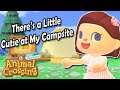 There's a Little Cutie at My Campsite // Animal Crossing New Horizons