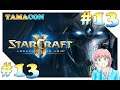 #13 스타크래프트 II: 공허의 유산 - 주 이야기 (무한의 순환) 【StarCraft II: Legacy of the Void】 - 『TAMACON』