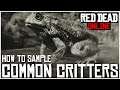 How to Sample Small Game Animals (Common Critters) for the Naturalist Role | Red Dead Online Tips