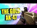 KREDITS ARE CHEAPER ON PS5 - Warface PS5 Gameplay - Gold AK-47