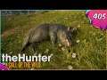 The Hunter Call Of The Wild #405 - Damhirsche & Razorbacks im Wald [Gameplay | Deutsch]