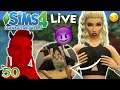 LIVE-SPECIAL: KATJA DARF WIEDER RAN... 😳☠️ Die Sims 4: Schwarze Witwe #50 💕