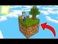 Minecraft NOOB vs PRO: NOOB SURVIVES ON THE ONE BLOCK SKYBLOCK! (Animation)