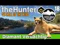 The Hunter Call of the Wild: Diamant oder Gold ? Puma & Wapiti am See | Silver Ridge Peaks Deutsch