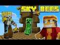This Was A Wonderful Start To A Episode | Minecraft {Sky Bee's}