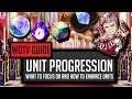What To Focus On With Unit Progression! First Team Build! - [WOTV] FFBE War of the Visions