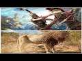 Assassins Creed ODYSSEY Stealth Gameplay & Hunting Lion Lion PS4 - I Played This Game On My PS4