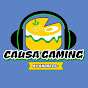 CAUSA GAMING