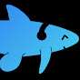 Paper Coelacanth