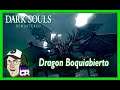 Dark Souls Remastered | Dragon Boquiabierto