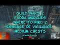 Guild Wars 2 Bjora Marches Where to Find Two Medium Essence of Vigilance Chests