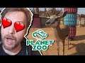 In dieses Spiel habe ich mich verliebt! | Planet Zoo Alpha