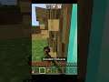 Minecraft but there  are custom op structures|