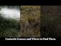 Skyrim LE Mods - Fantastic Grasses and Where to Find Them
