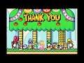 Super Luigi World: SMA2 Part 10: The End, But Not Really