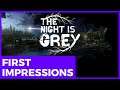 The Night is Grey Review | First Impressions Gameplay
