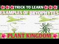 TRICK TO LEARN ALL THE EXAMPLES OF BRYOPHYTES| PLANT KINGDOM| BEST TRICKS|BIOLOGY SHORT TRICKS|NEET