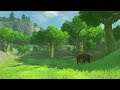 The legend of zelda breath of the wild Gameplay 47 (Switch) (Une petite randonnée) VF