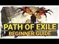 Path Of Exile Beginners Guide 2020 - Zero to Hero (part 1)