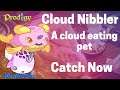 How to catch 2 Cloud Nibblers and a Dreamlet in one battle: Prodigy Math Game 2020 | w/1DoctorGenius