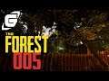 THE FOREST 🌲 LiveLP 005: Besuch in der Nacht | GAMAZINE