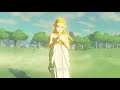 Zelda BOTW: reunited with Zelda